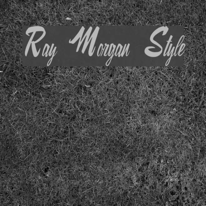 Ray Morgan Style Font examples