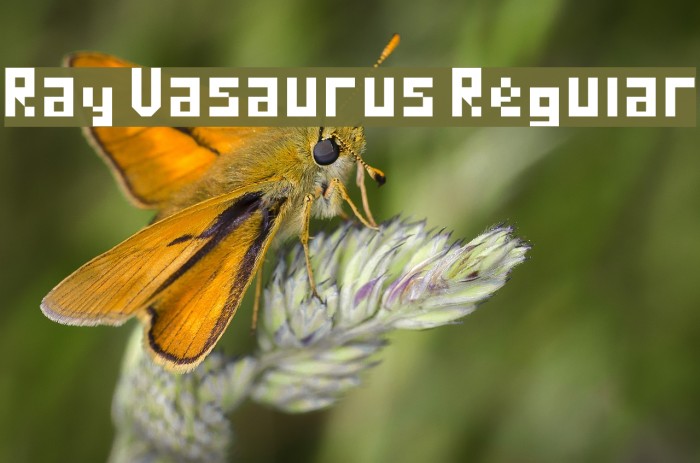 Ray Vasaurus Regular Example 1