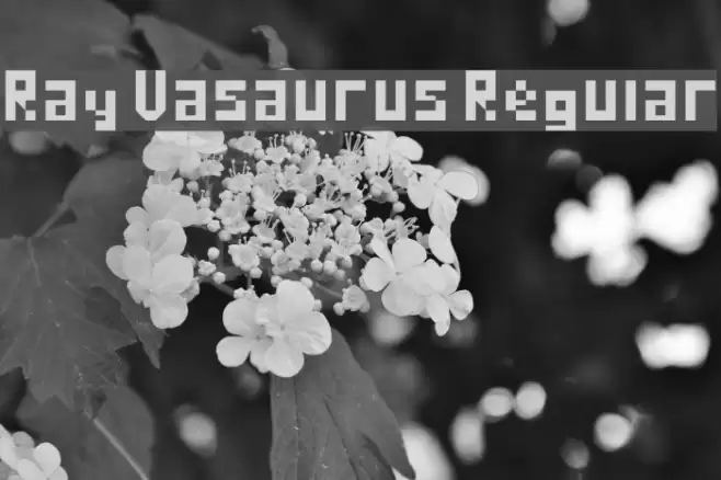 Ray Vasaurus Regular Font examples