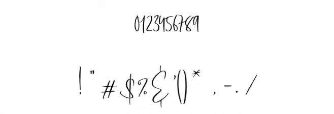 RaySat Personal Use Regular Font OTHER CHARS