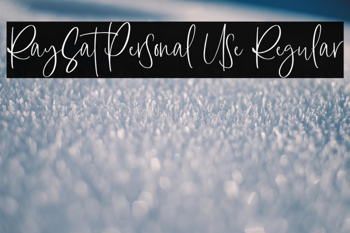 RaySat Personal Use Regular Example 1