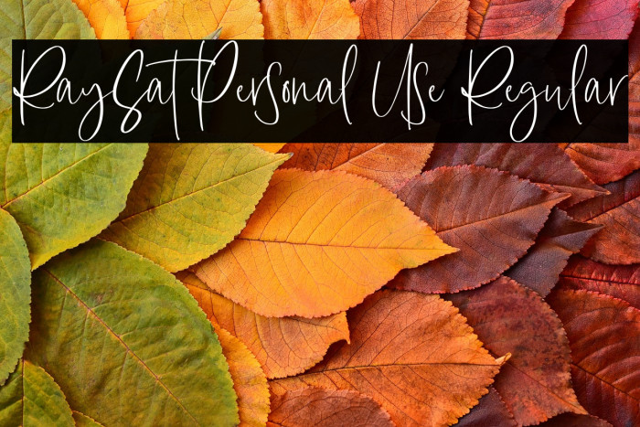 RaySat Personal Use Regular Example 3