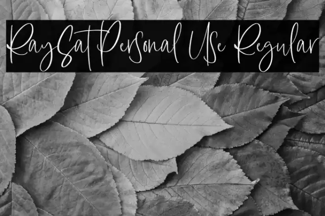 RaySat Personal Use Regular Font examples