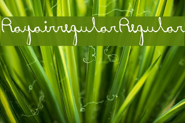 RayairregularRegular Font examples