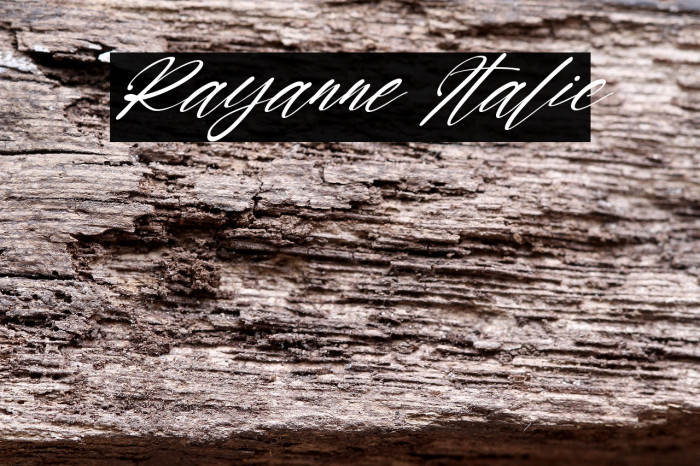 Rayanne Italic Example 1