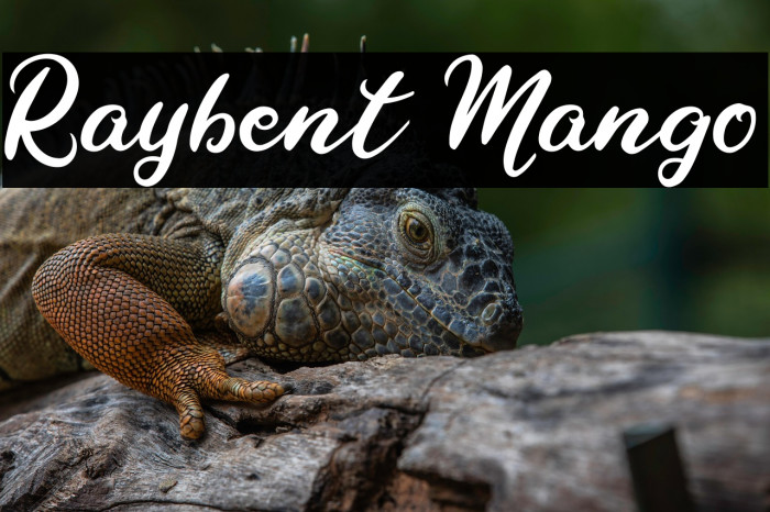 Raybent Mango Example 2