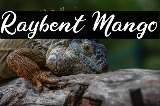 Raybent Mango Example 2