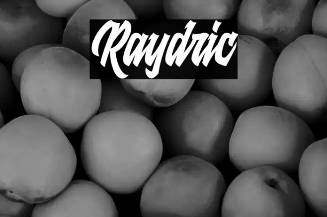 Raydric Font examples