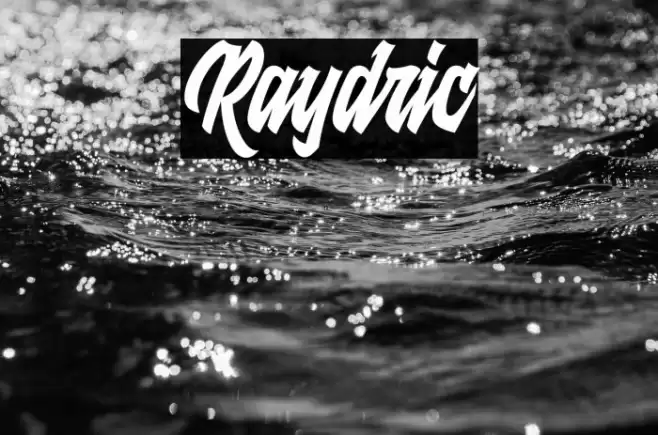 Raydric Font examples