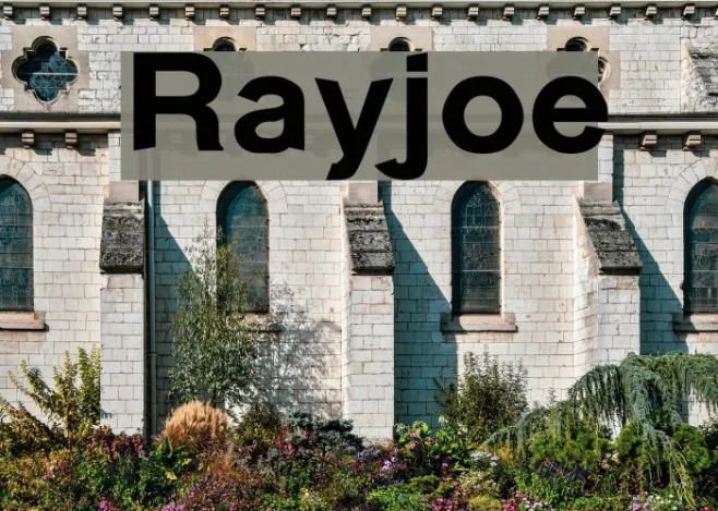 Rayjoe Example 1