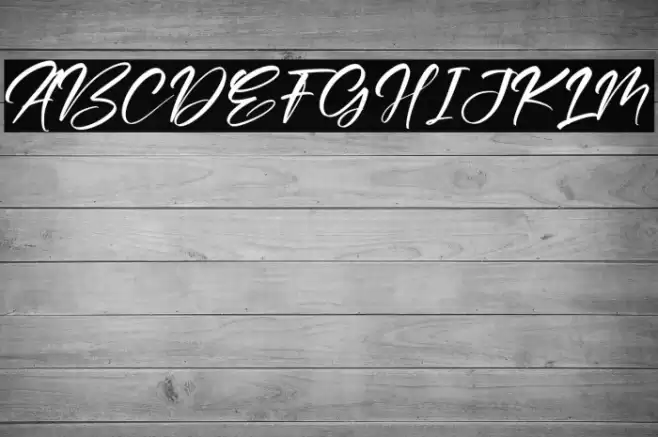 Raylight Polices examples