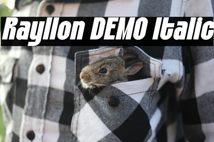 Rayllon DEMO Italic Example 1
