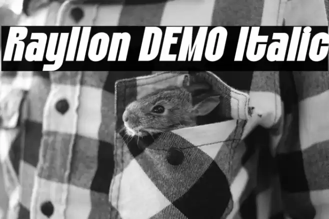 Rayllon DEMO Italic Font examples
