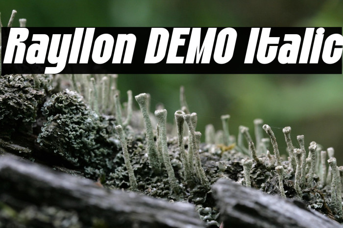 Rayllon DEMO Italic Example 2