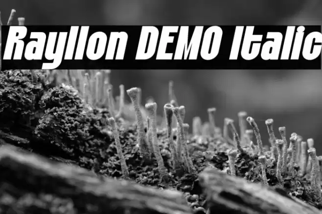 Rayllon DEMO Italic Font examples