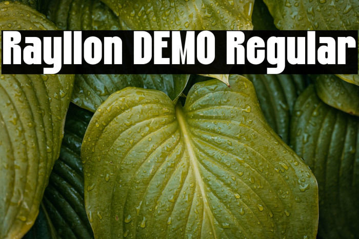 Rayllon DEMO Regular Example 3