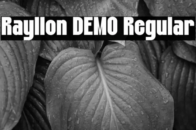 Rayllon DEMO Regular Font examples