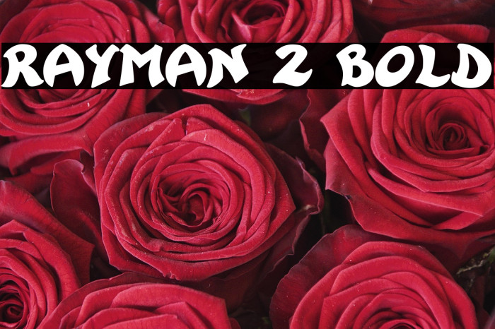 Rayman 2 Bold Example 1