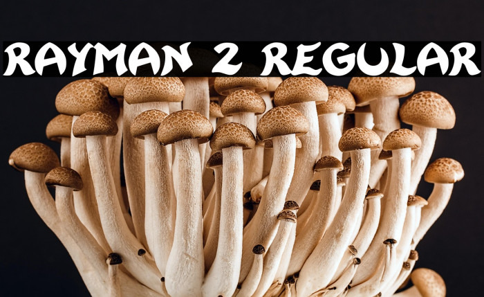 Rayman 2 Regular Example 2