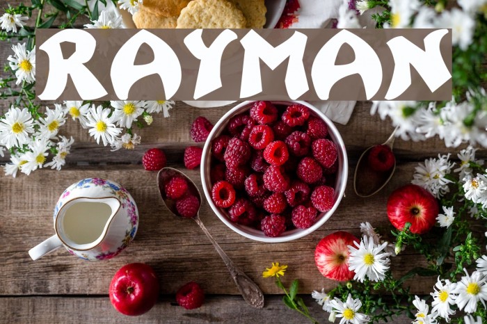 Rayman フォント examples