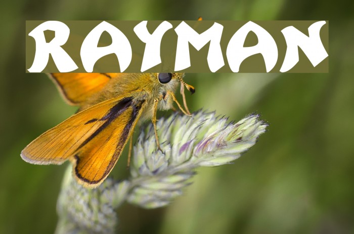 Rayman フォント examples