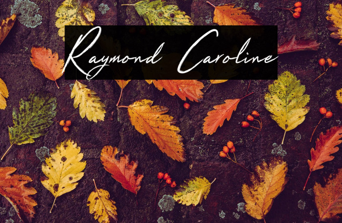 Raymond Caroline Example 1