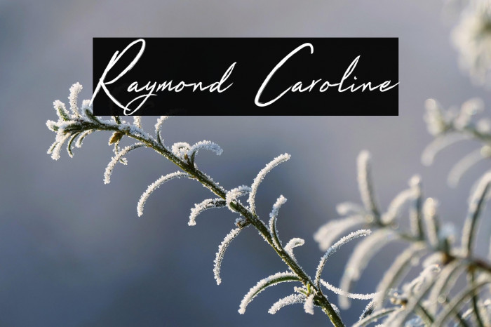 Raymond Caroline Example 3