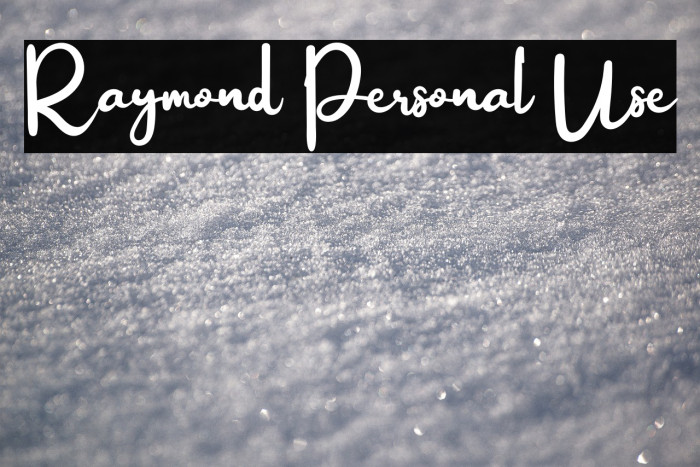 Raymond Personal Use Example 1