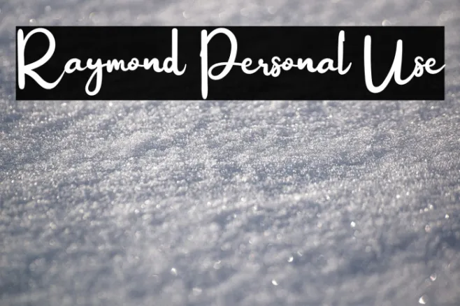 Raymond Personal Use Example 1