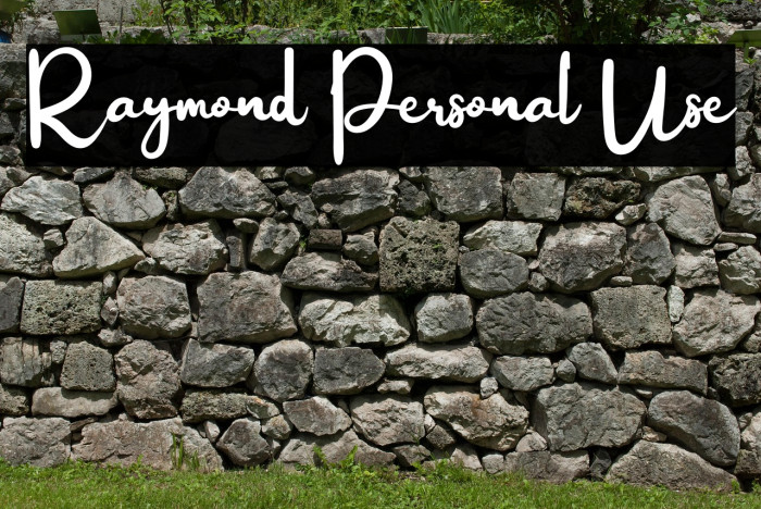 Raymond Personal Use Example 2