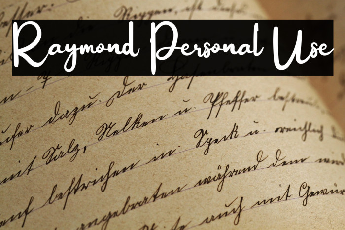 Raymond Personal Use Example 3