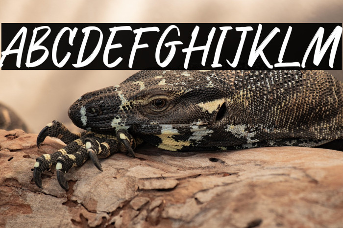 Raymond Signature Example 2