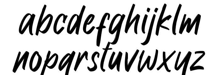 Raymond Signature Font LOWERCASE
