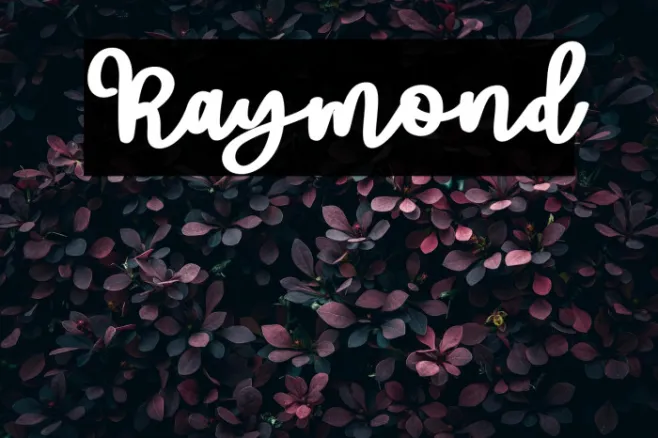 Raymond Example 3