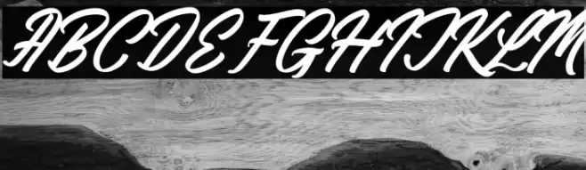 Raymont Qalimba Italic Font examples