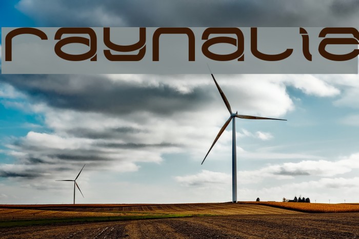Raynaliz Font examples
