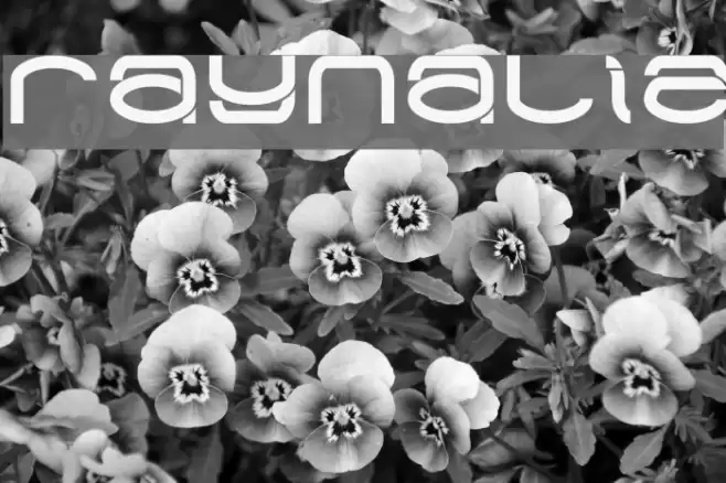 Raynaliz Font examples