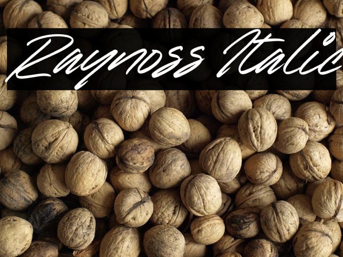 Raynoss Italic Example 1