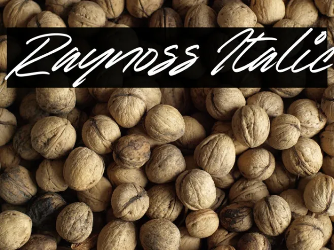 Raynoss Italic Example 1