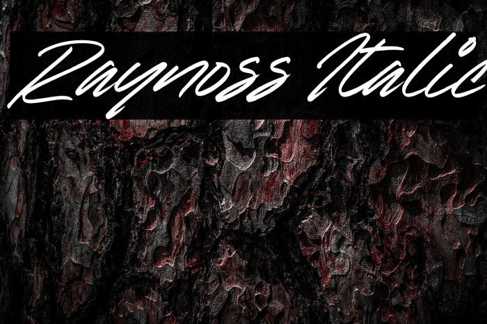 Raynoss Italic Example 2