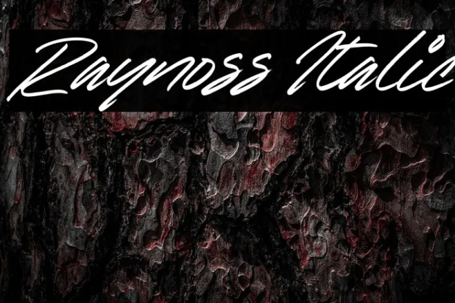 Raynoss Italic Example 2
