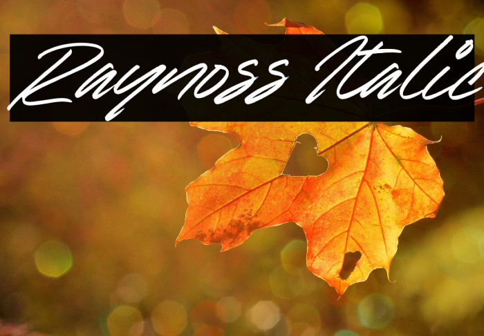 Raynoss Italic Example 3