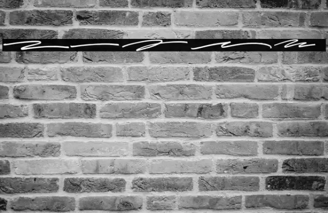 Raynoss Swash Font examples