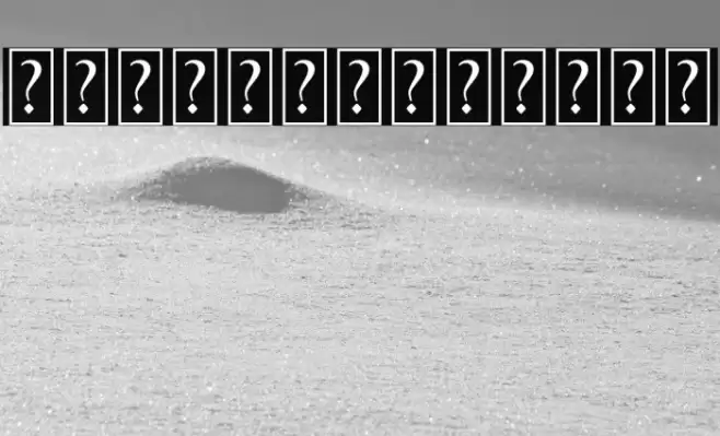 Raynoss Swash Font examples