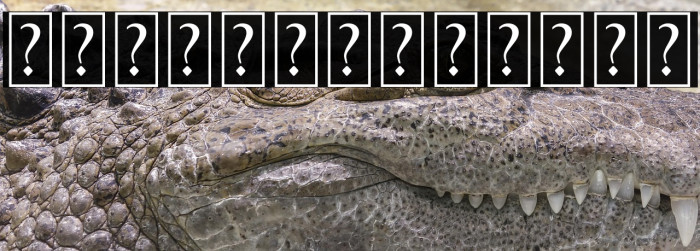 Raynoss Swash Example 2