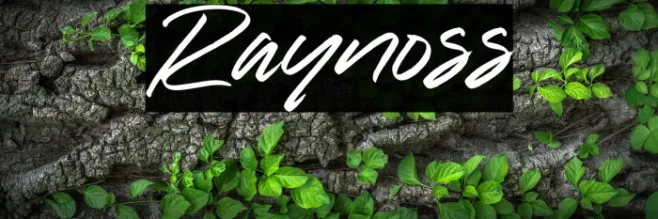 Raynoss Example 1
