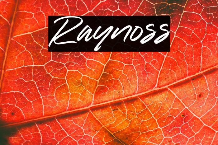 Raynoss Example 3