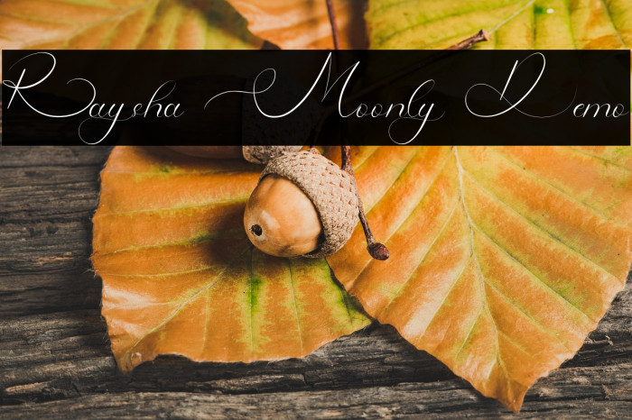 Raysha Moonly Demo Example 3