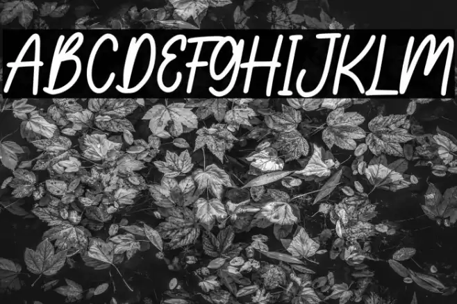 Raytone Font examples