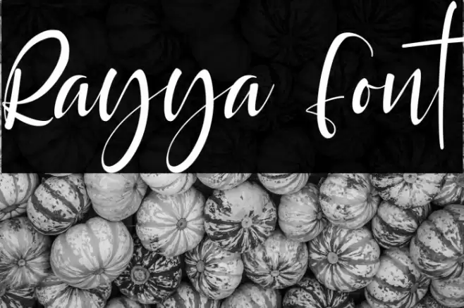 Rayya Font examples